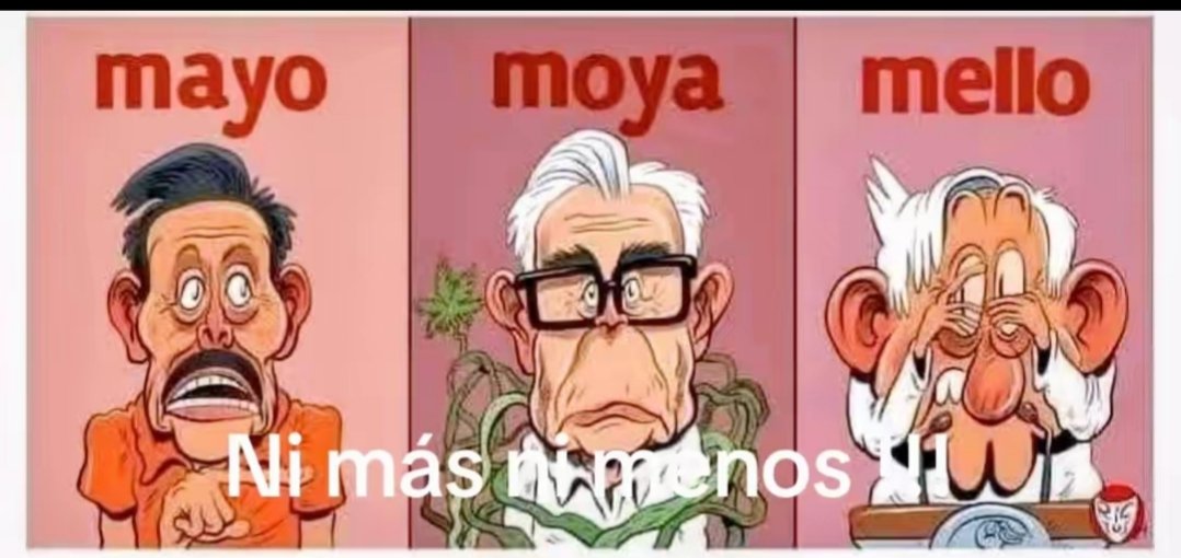 Cam 🐝🍀 tweet media
