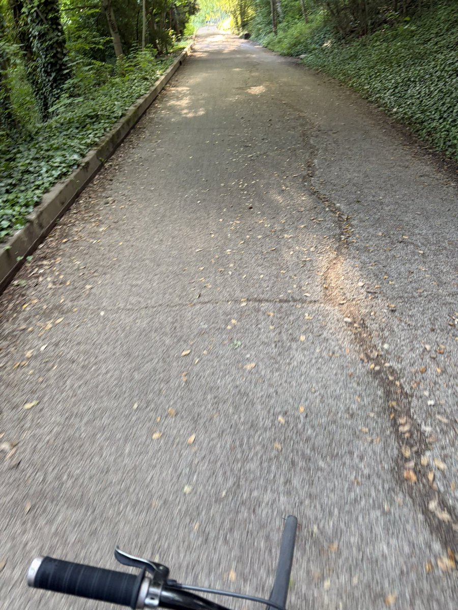 oumousty's tweet photo. petite balade à vélo https://t.co/AZbhU9etGr