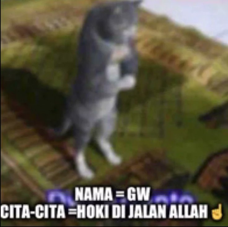 🐈⬛🩷 tweet media