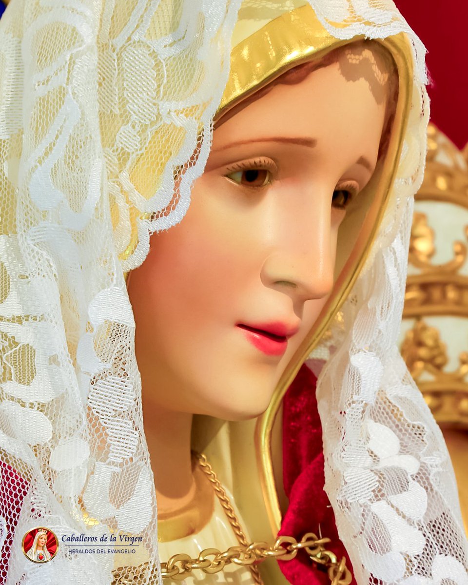 Caballeros de la Virgen - Ecuador tweet media