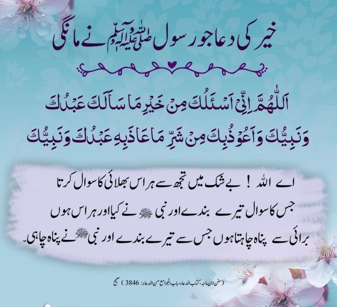 meSana220's tweet photo. اے اللہ! بے شک میں تجھ سے ہر اس بھلائی کا سوال کرتا/کرتی ہوں جس کا سوال تیرے بندے اور نبیﷺ نے کیا اور ہر اس برائی سے پناہ چاہتا /چاہتی ہوں جس سے تیرے بندے اور نبیﷺ نے پناہ چاہی۔ 🙏

🌱🌷🌸حسبي الله لا إله إلا هو عليه توكلت وهو ربّ العرش العظيم.🌴🌺✨ https://t.co/VYXEFqoGMa