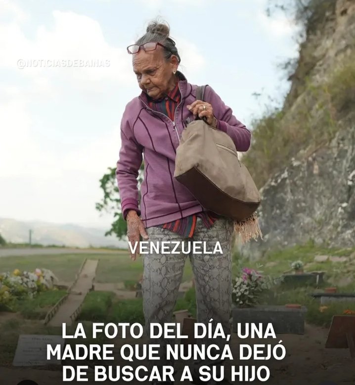 Lelibeth Liscano tweet media