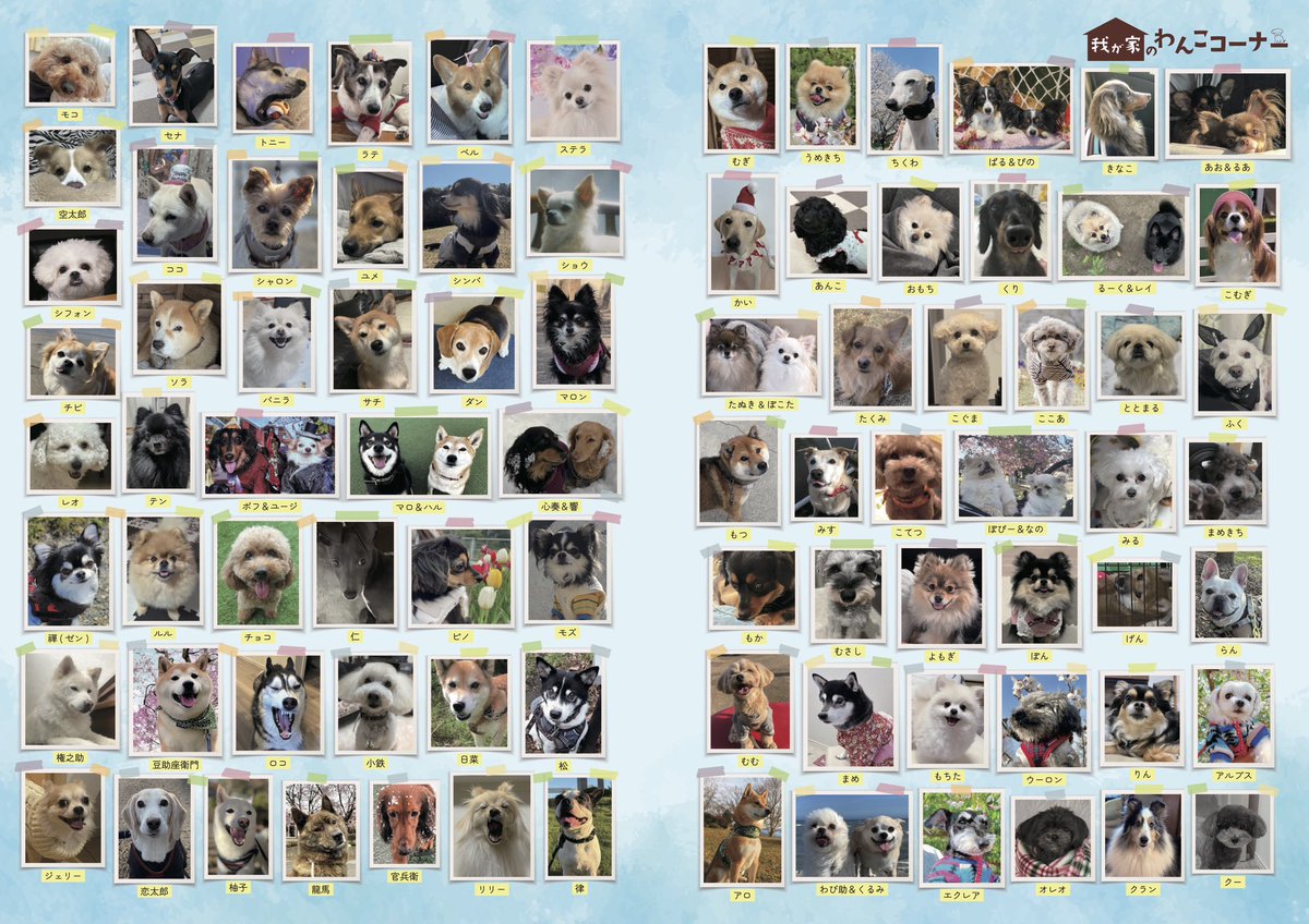 gekkan_wanko's tweet photo. 【当選者発表】
こちらの写真は月刊わんこvol.30（5/15発売）我が家のわんこコーナーに掲載されています👏🐶㊗️※掲載されていたらリポストお願いします！

最速で受け取れる最速先行がスタートしました！✨
▶︎通常版→ https://t.co/hFPtZv4Ugr
▶︎Special Edition→ https://t.co/JPQudTXxzk

当選発表は画像をご確認ください📖

@FSVbvT45ruDO9t9
@diet_shitakara
@kasumi_hina_kn
@MRuipy
@fooootar0u_maru
@TokiwaMinato
@kaiken_ryouma
@mgtm129
@ds_030
@min01282081
@yanagie9
@myomyomyoga
@qh7_o9
@hcmt230707
@_072025
@moon5252525
@pp5luYFUaWC8XPB
@ponta_styles
@TSUKADA1210
@ten10_love