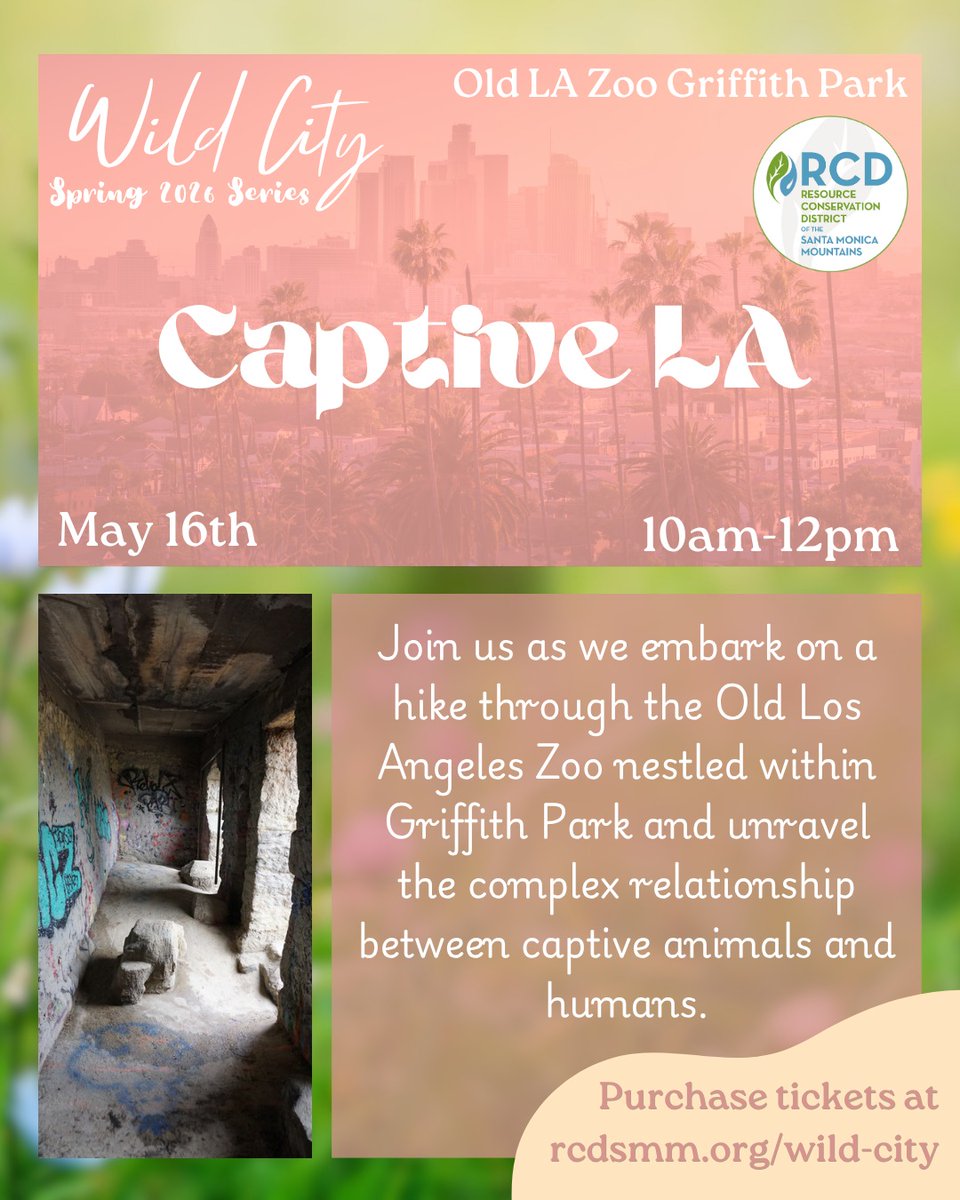 rcdsmm's tweet photo. The final workshop of our Spring 2026 WiLD CiTY Series is taking place nxt Sat! 🦁 Help us unravel the complex &amp; ever-changing relationship between humans &amp; captive animals set within a fitting backdrop-the Old LA Zoo.🐅 Get ur tix while they last at https://t.co/vUSgFZdpkE https://t.co/CSUSLxWIRr