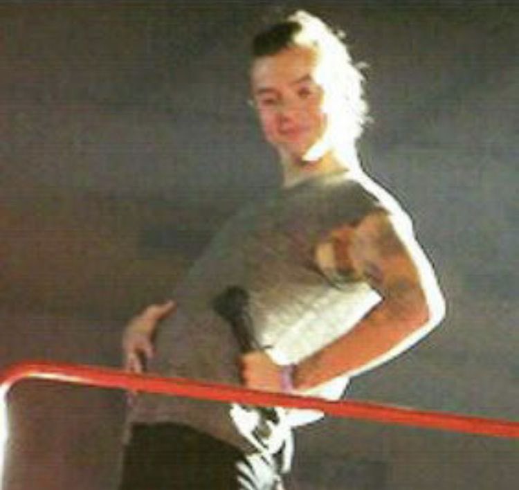 Harry Styles anuncia que está grávido de gêmeos (de novo) :

“agora estou comendo por 3”