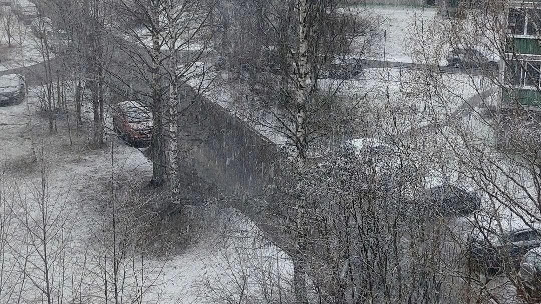 Город на севере Карелии засыпало снегом 

Улицы города горняков накрыло снегом несмотря на май месяц: фотографии появились в соцсетях.                karelinform.ru/news/2026-05-0…