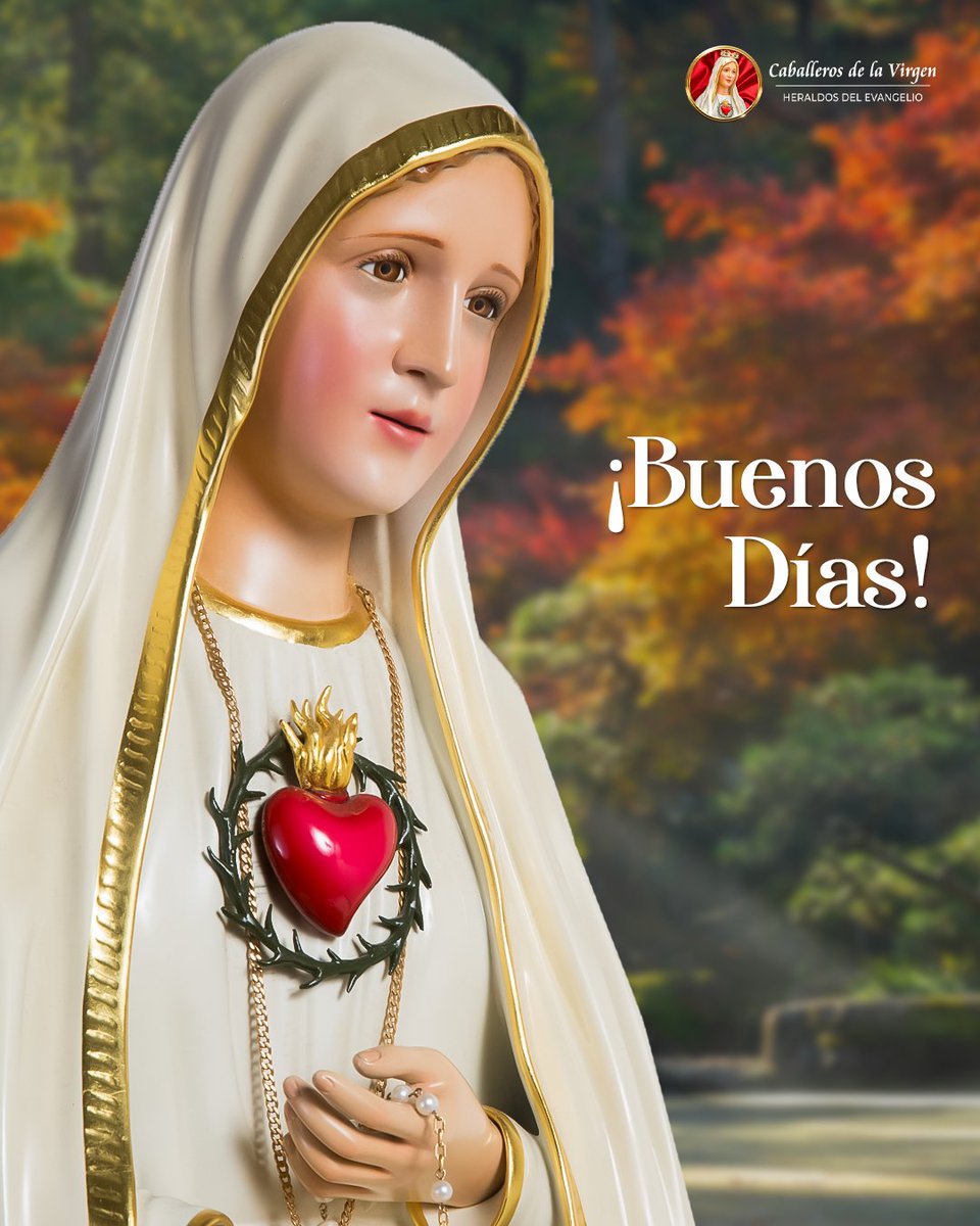 Caballeros de la Virgen - Ecuador tweet media