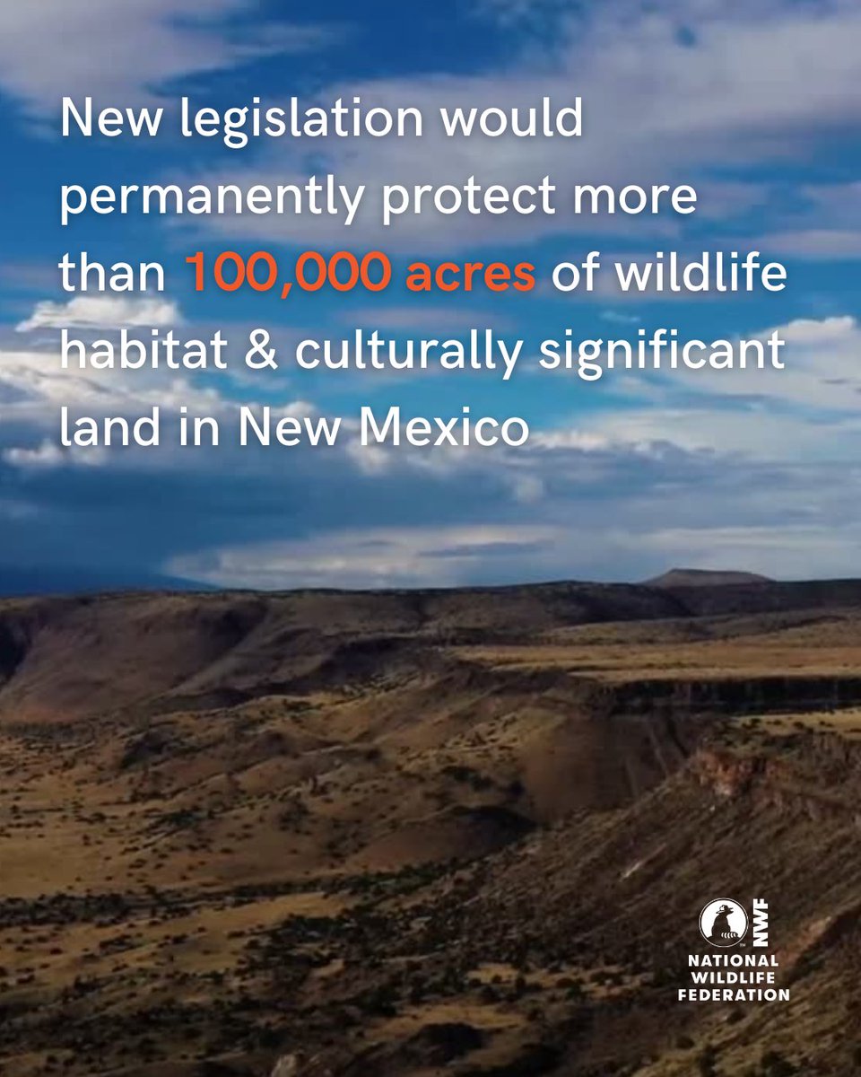 National Wildlife Federation Action Fund tweet media