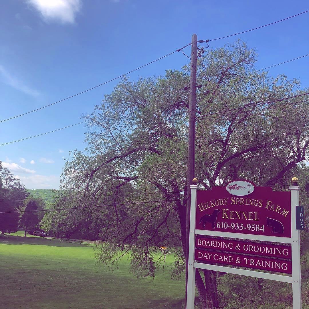 HSFpets's tweet photo. We're headed into the busy season!

Don't wait to book.  We will have weeks that sell out!
📞 610-933-9584
📧 info@hickoryspringsfarm.com 
🌐 https://t.co/WcmWK6qckT

#summer #summertravel #chescopa #petowners #dogboarding #catboarding #chescopetresort https://t.co/265n5TKsQY