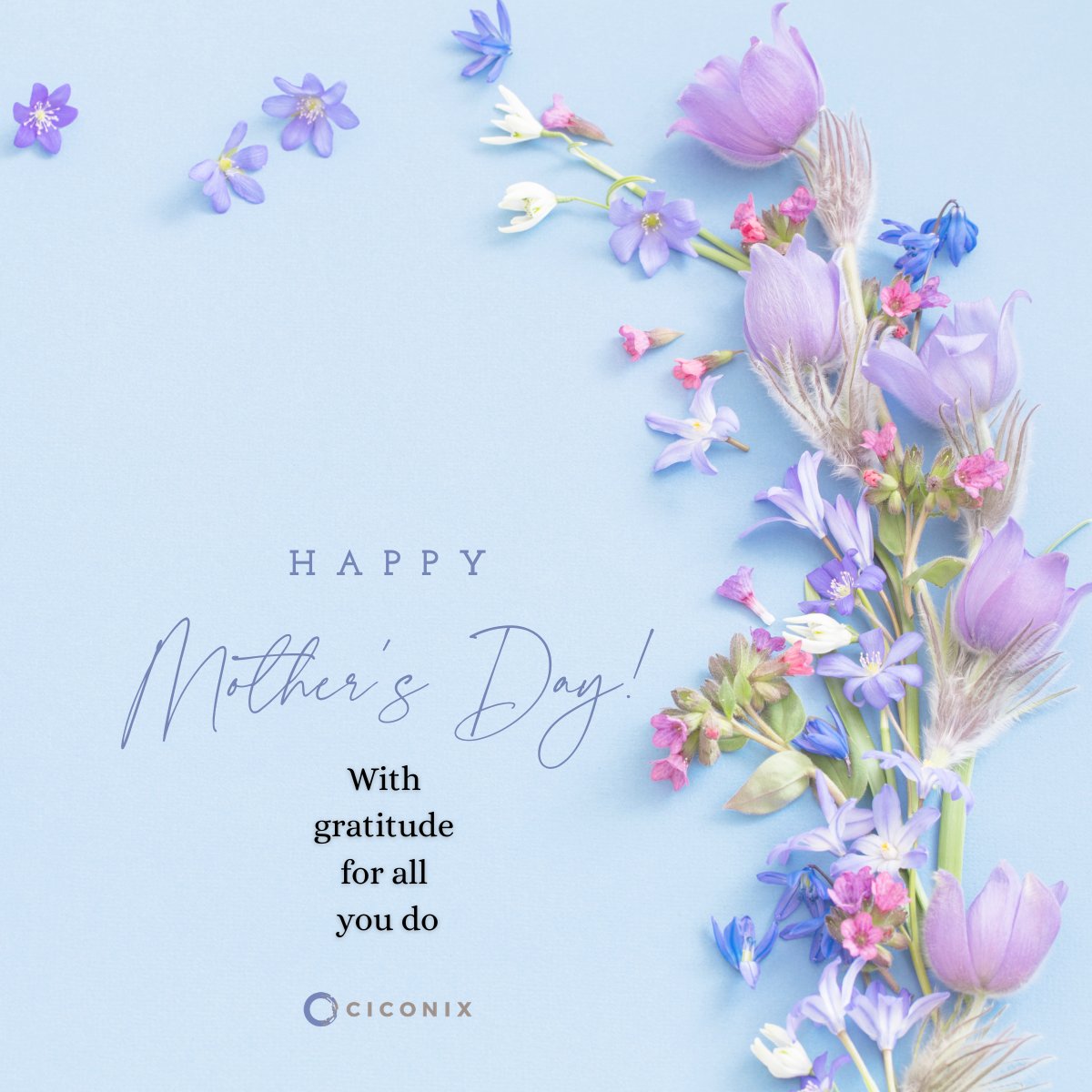 CICONIX's tweet photo. Happy Mother’s Day to the mothers, mentors, and mother figures across CICONIX and throughout our communities. Wishing you a weekend filled with rest, joy, and the appreciation you deserve!

#MothersDay #CICONIX #ProfessionalMoms #WomenInLeadership #WorkLifeBalance https://t.co/0Ee46TzDF3