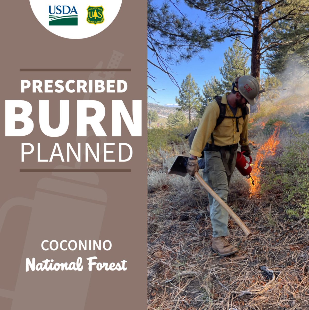 Coconino NF tweet media