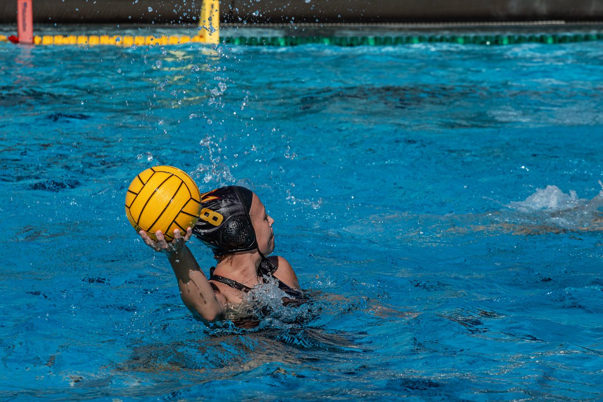 Sun Devil Water Polo tweet media