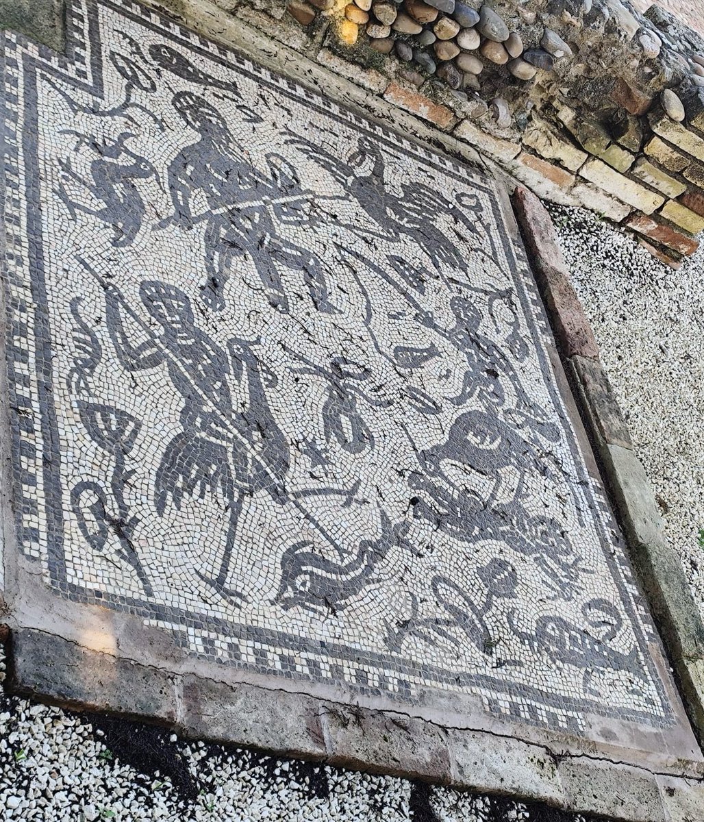 AlegraGarciaGar's tweet photo. Mosaicos de Itálica, Santiponce (Sevilla) ♥️ https://t.co/pZg8XCO7eR