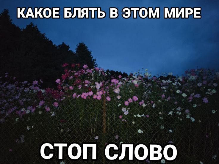 настолько жалкая, что выпрашиваю каплю внимания, а мне даже ее не дают ха ха