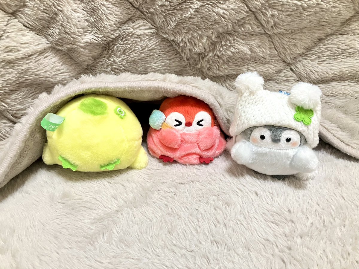 コタツをしまおうとするのを阻止するコウペンちゃんたち(＞＜)