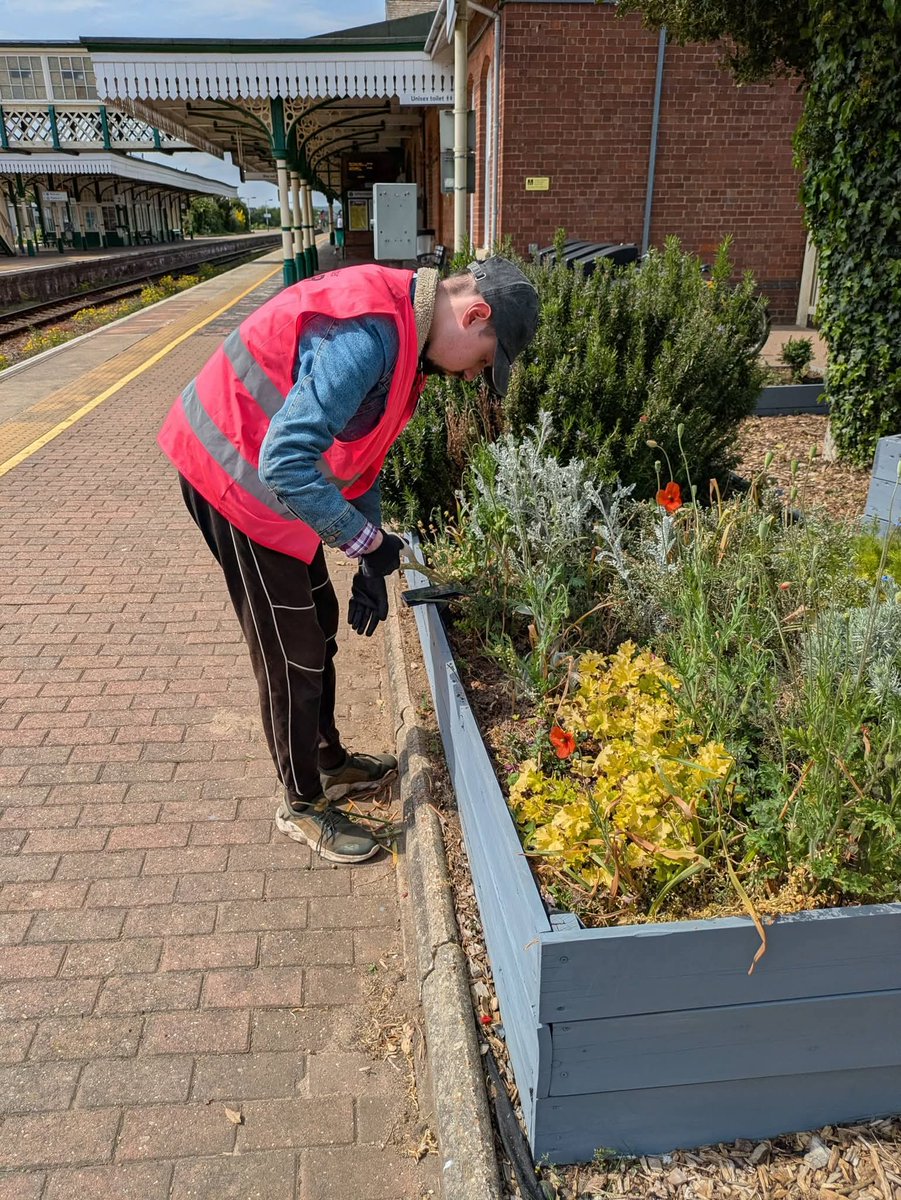 Rainbow_Stars1's tweet photo. Beautiful weather here in Sleaford so a productive trip to the station. Lots of weeding, everyone got stuck in. We checked on the fruit and vegetable plants too. We need some rain as the water butt is empty. We love our special place.
#emrstationadopters
#learningthroughplants https://t.co/rBprQzoidZ