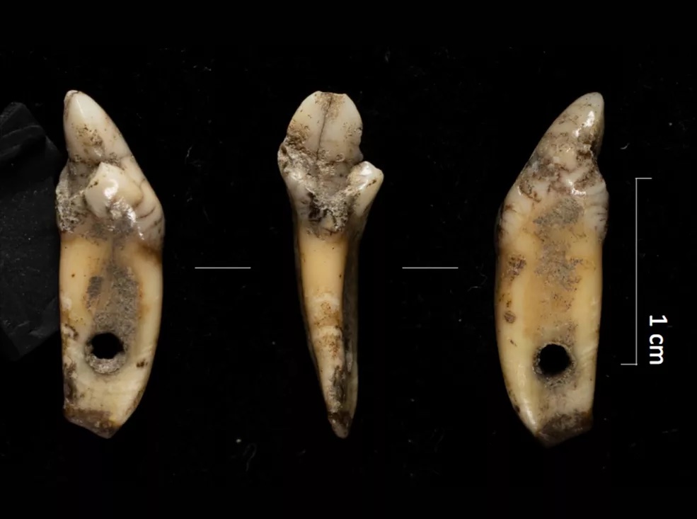 Archaeology Magazine tweet media