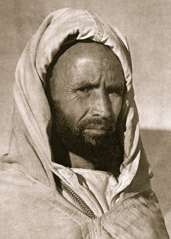 sonofgetulia's tweet photo. Sanhaja : Among all the tribes in the list the Sanhaja is the only non Masmouda These vast and innumerable tribes would additionally form part of the Almohads , and have men in the council of 10 and 50 among them Yamluk Omar Aznag and Wassnar and Al Jabr , their territory stretches from the eastern corners of the Souss , all the way to Dern region in the Tadla region and into Sijilmasa , it counted tribes from Serta / Messoufa tribes who defected to the Almohads after they took Tlemcen / Fichtala / Settat / Massat / and other Banu Tannmakt the kings of Tadmekka and the regions between Timbuktu and Sijilmassa