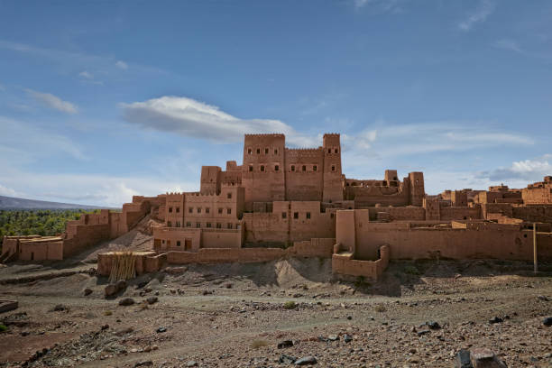 sonofgetulia's tweet photo. Sanhaja : Among all the tribes in the list the Sanhaja is the only non Masmouda These vast and innumerable tribes would additionally form part of the Almohads , and have men in the council of 10 and 50 among them Yamluk Omar Aznag and Wassnar and Al Jabr , their territory stretches from the eastern corners of the Souss , all the way to Dern region in the Tadla region and into Sijilmasa , it counted tribes from Serta / Messoufa tribes who defected to the Almohads after they took Tlemcen / Fichtala / Settat / Massat / and other Banu Tannmakt the kings of Tadmekka and the regions between Timbuktu and Sijilmassa