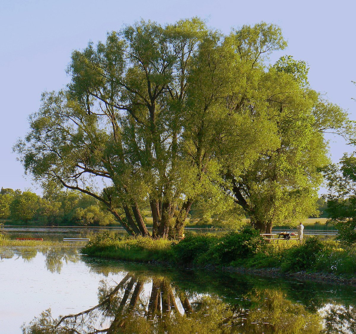 Rideau Valley Conservation Foundation tweet media