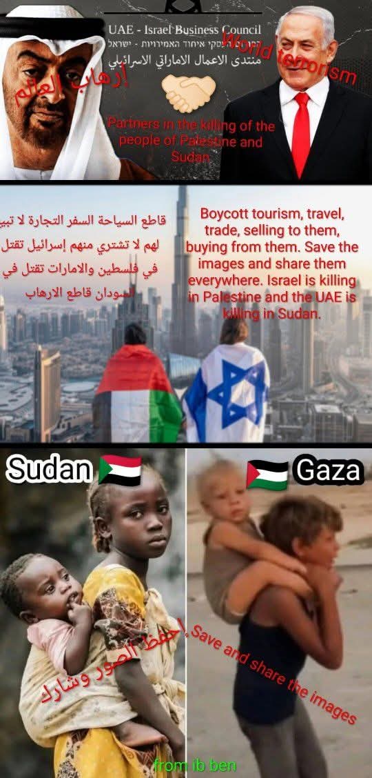أبو مروة المهاجر tweet media