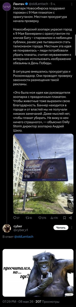 Миллиарды лет эволюции только ради этого момента 🖤