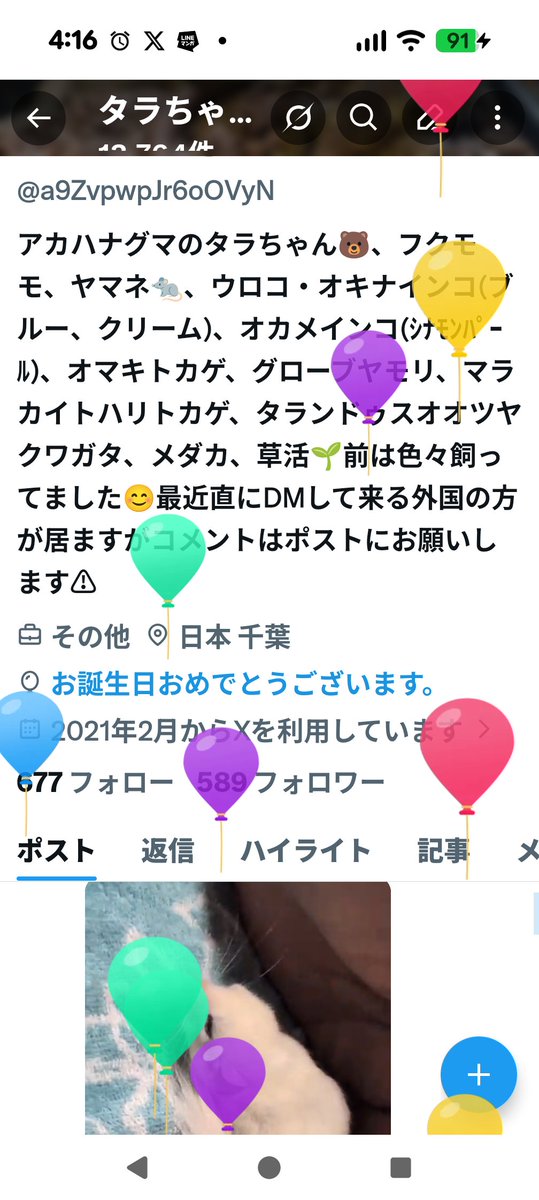 タラちゃん🐻 tweet media
