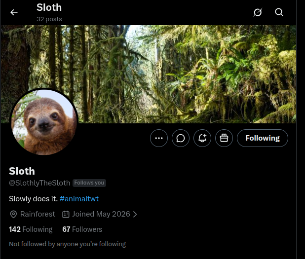 Sloth (@SlothlyTheSloth) / Posts / X