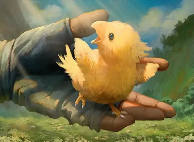 mtgzen tweet picture