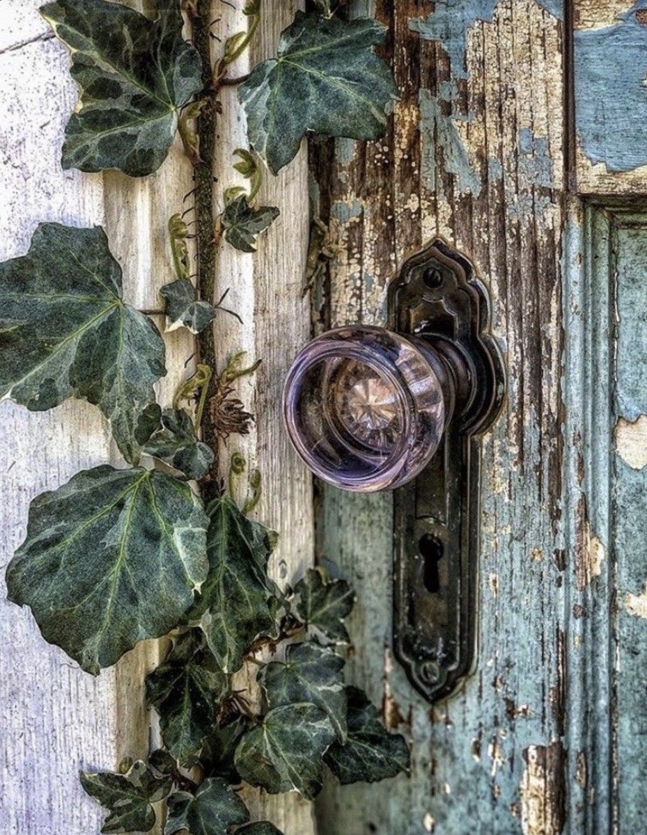 “Ask, and it will be given to you; seek, and you will find; knock, and it will be opened to you.”
~Matthew 7:7🕊