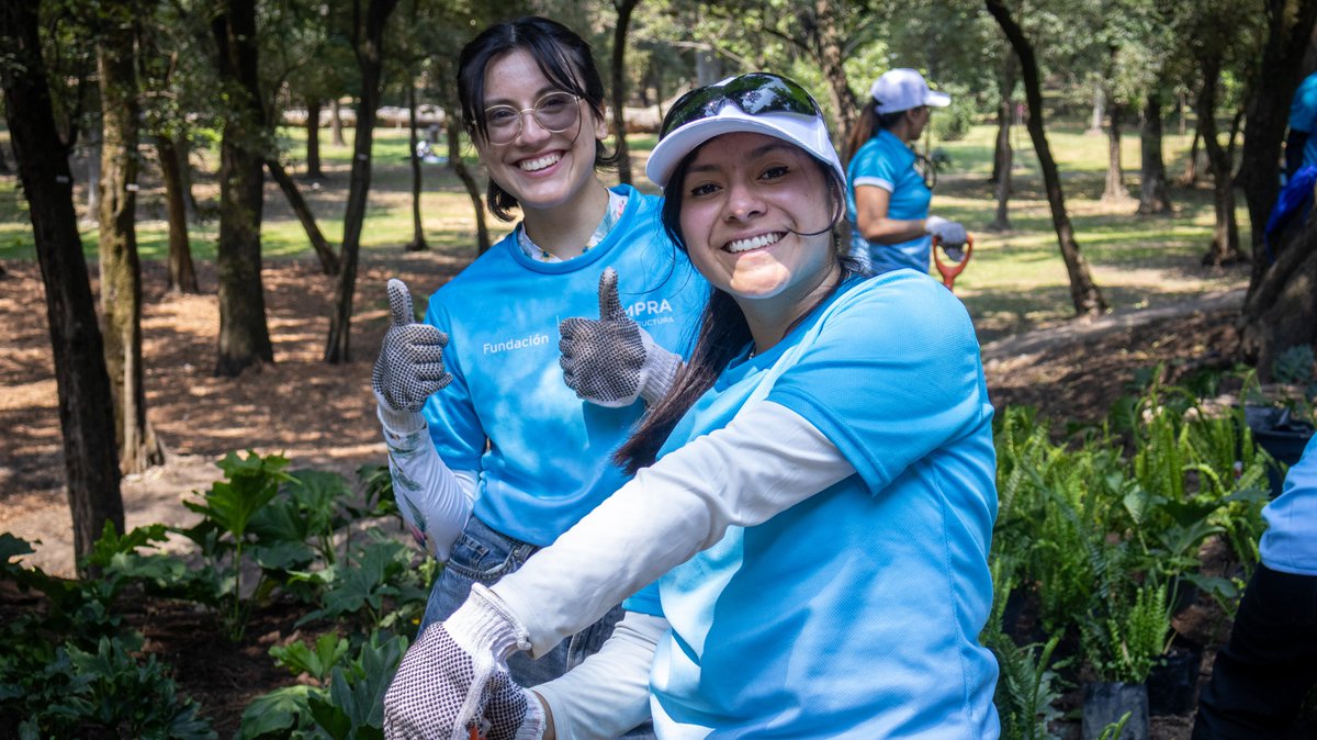 Bosque De Chapultepec tweet media