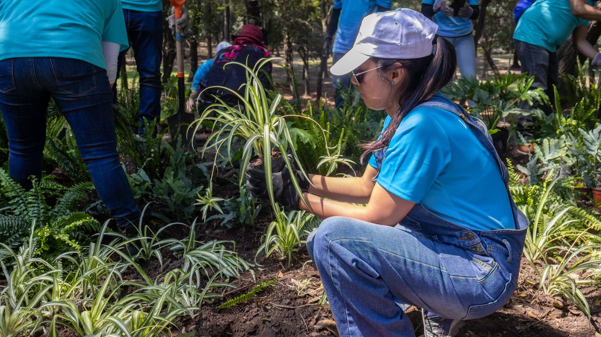 Bosque De Chapultepec tweet media