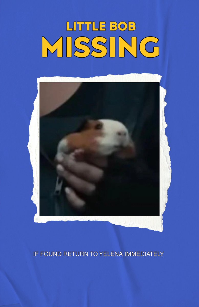 𝒀𝑬𝑳𝑬𝑵𝑨. tweet media