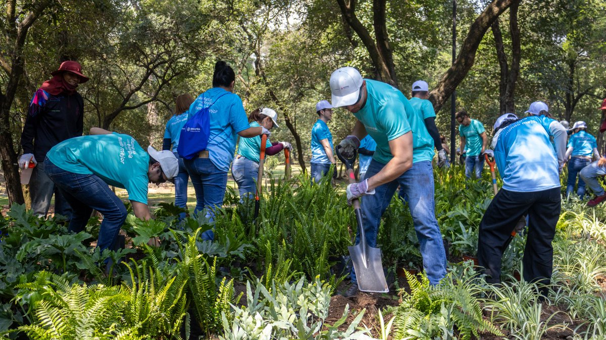 Bosque De Chapultepec tweet media