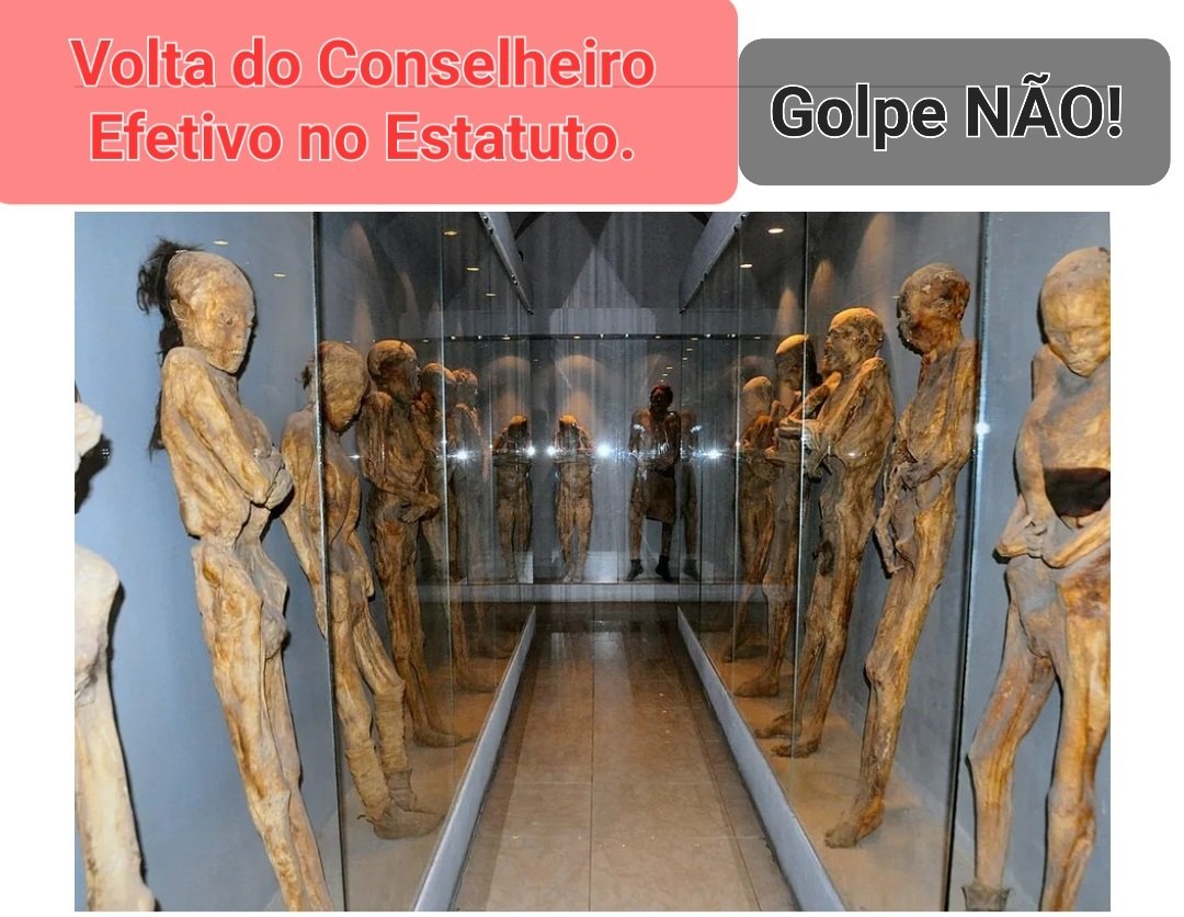 PeridicoSantis1's tweet photo. 🚨
Uma das principais propostas de Reforma no Estatuto do Santos FC é o Retorno dos Conselheiros Efetivos.
Essa gente quer se perpetuar no Clube;
NÃO ao GOLPE do dia 18/05/26!
❌️
É preciso barrar todos os desejos das múmias 013, não caiam no blá-blá-blá do Golpe dessa gente! https://t.co/OgEJ6sk7dR