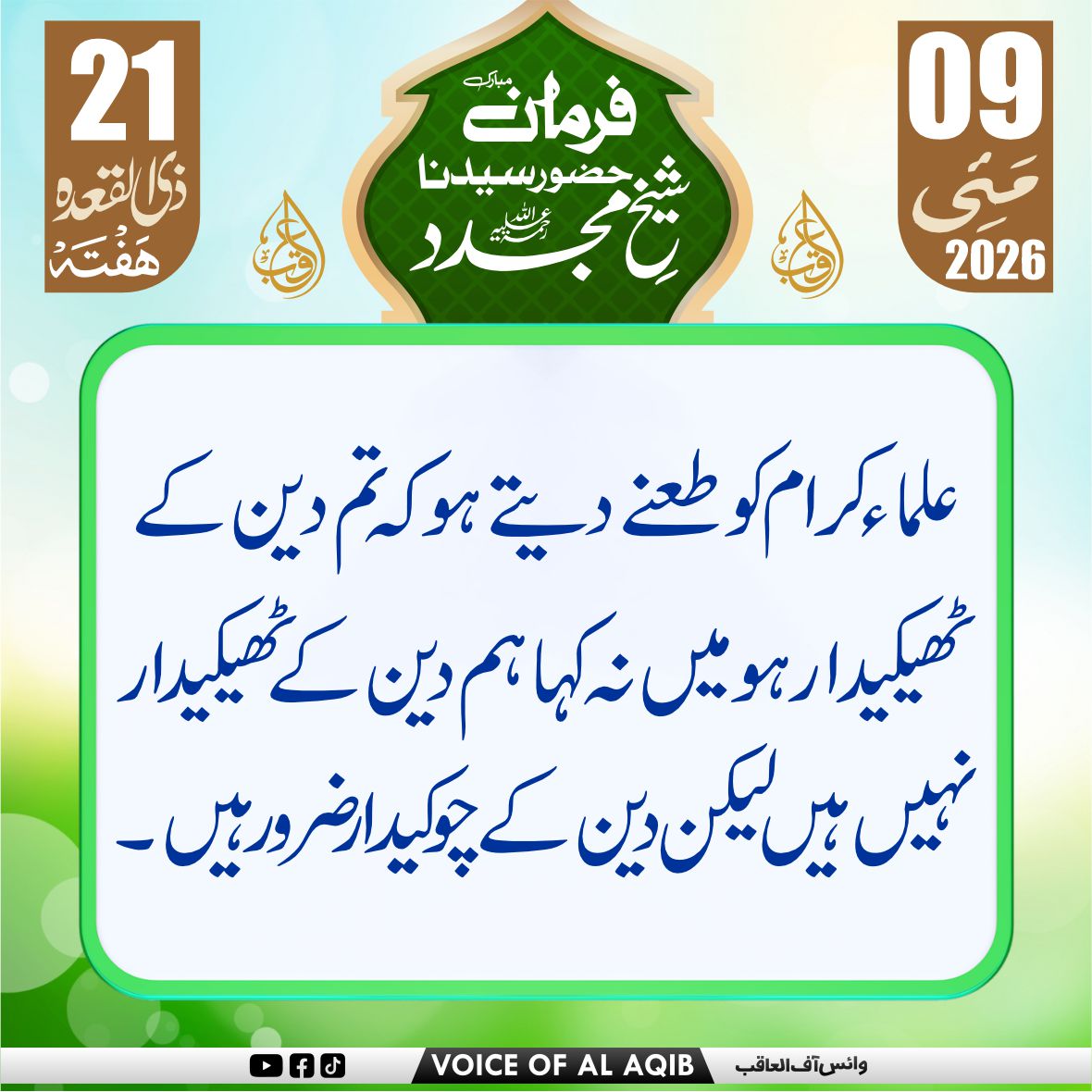 Voice Of Al AQib tweet media