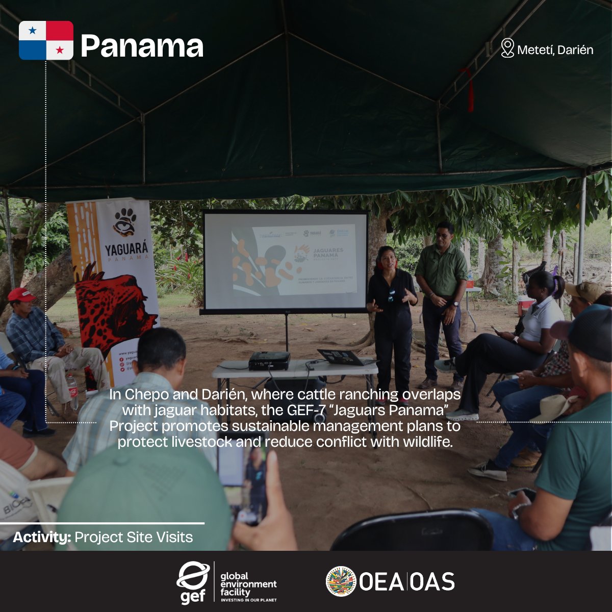 OAS Development tweet media