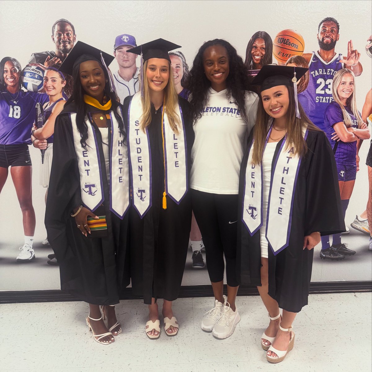 Tarleton State Volleyball tweet media