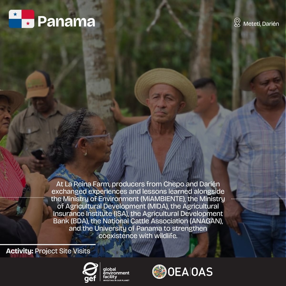 OAS Development tweet media