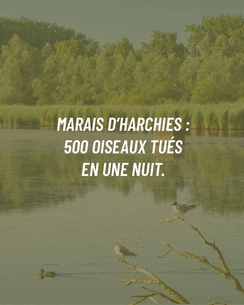 AdeaClaude's tweet photo. RAS LE BOL 😡😡😡

Vous pouvez agir avant le 20 mai ! ⏰
Envoyer un mail prend 2 minutes… et peut faire toute la différence 💪

📩 Passez à l’action ici : https://t.co/5OVIPHtQg9 https://t.co/A2cVkaZDr0