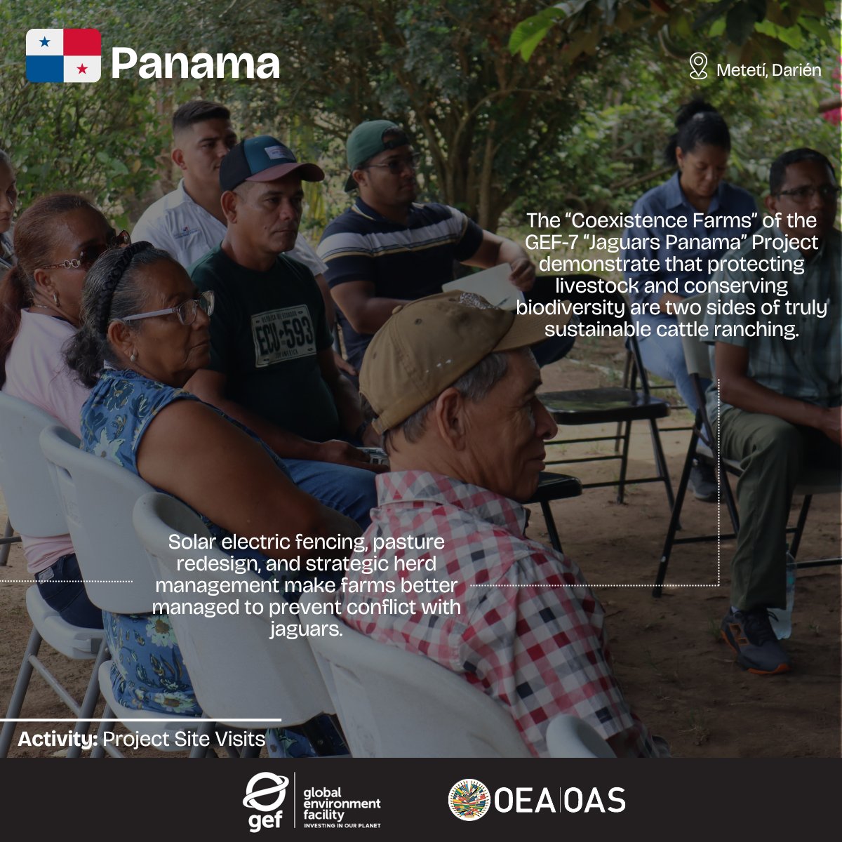 OAS Development tweet media