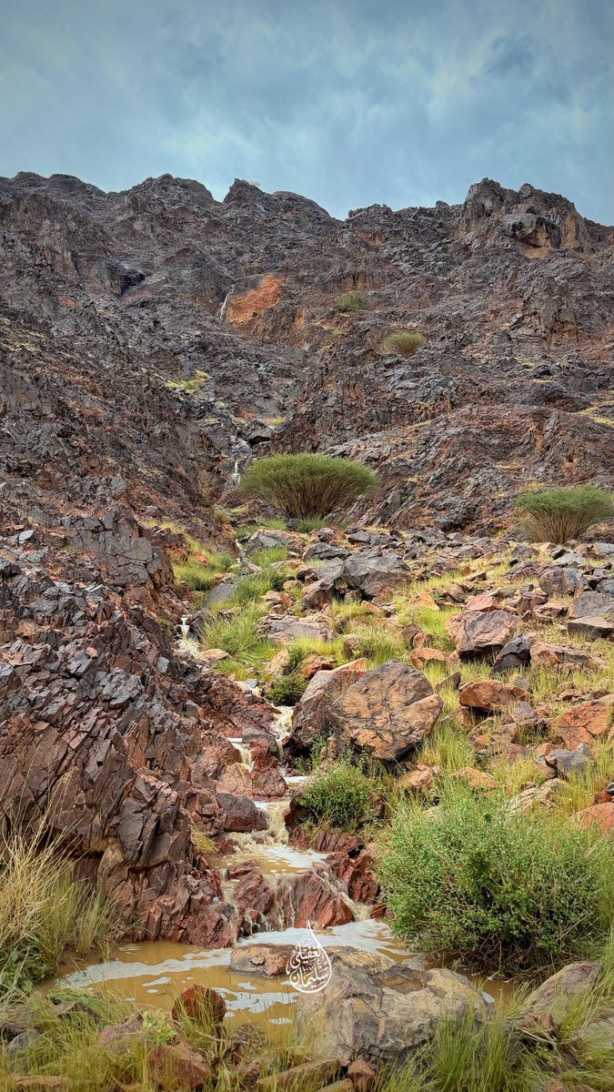 Suliman9533's tweet photo. من امطار الفوارة والنبهانية ☔️⛰️ 
غرب و شمال منطقة القصيم
الجمعة 21 / 11 / 1447هـ https://t.co/grGWvODU08
