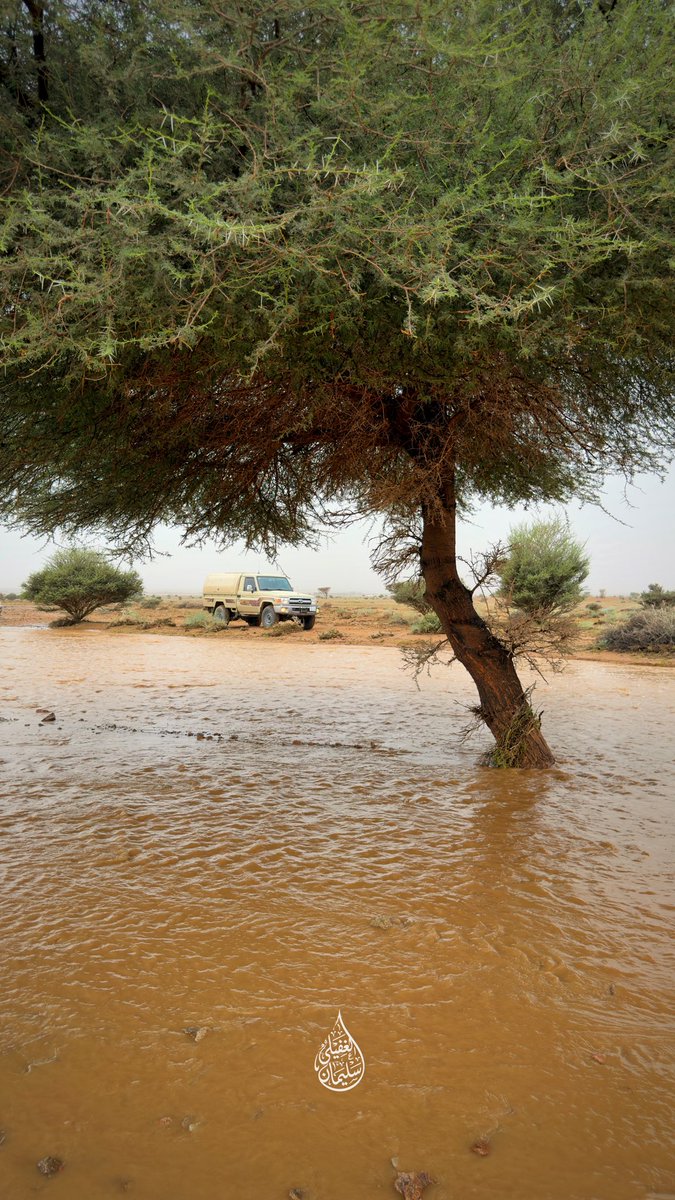 Suliman9533's tweet photo. من امطار الفوارة والنبهانية ☔️⛰️ 
غرب و شمال منطقة القصيم
الجمعة 21 / 11 / 1447هـ https://t.co/grGWvODU08