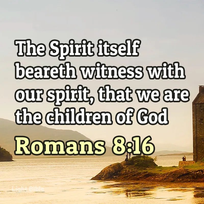 The Israel of God tweet media