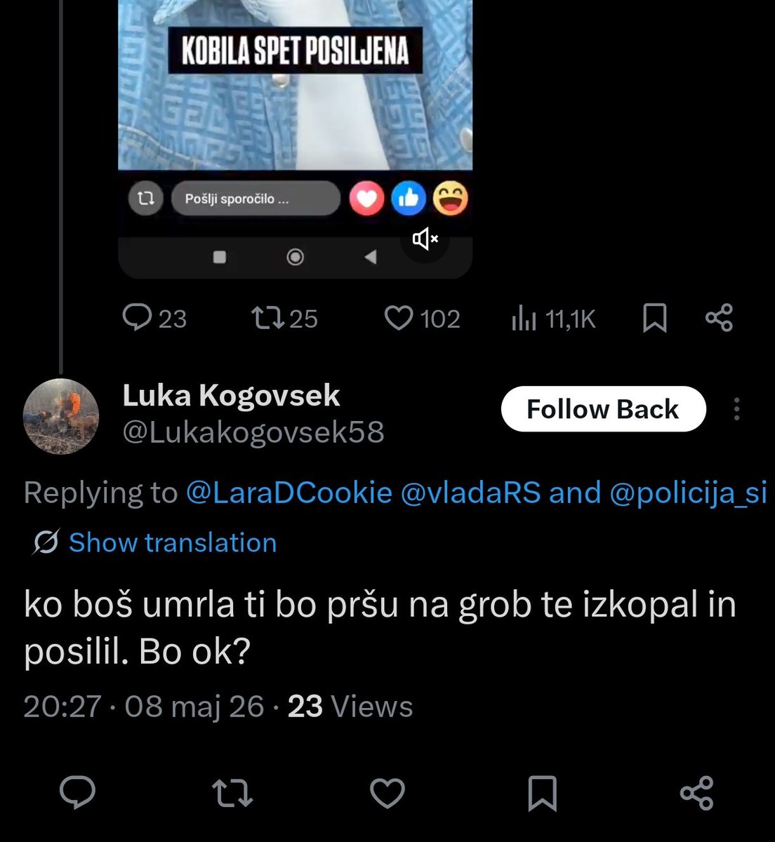 LaraTheCookie tweet media