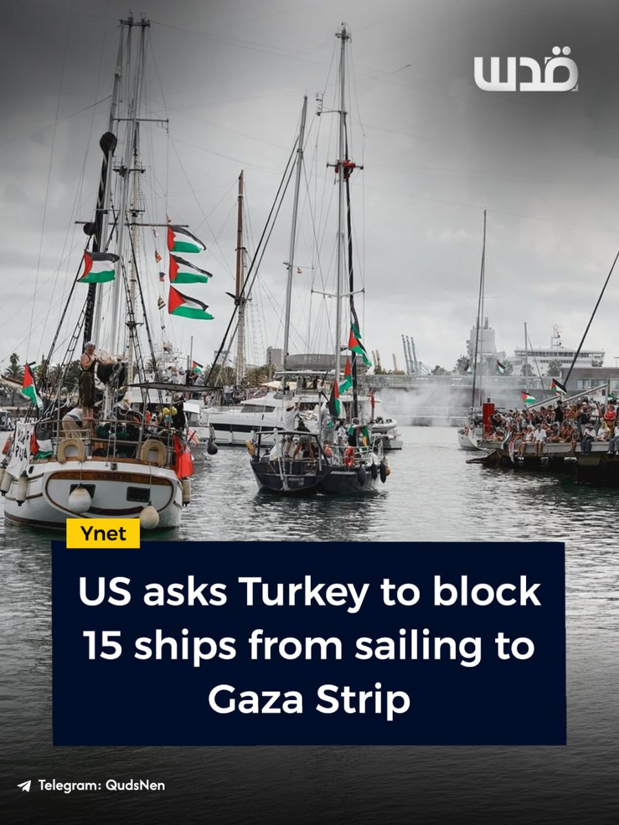 Quds News Network tweet media