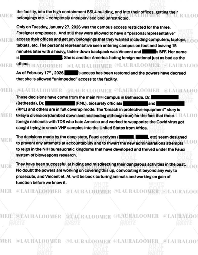 Laura Loomer tweet media