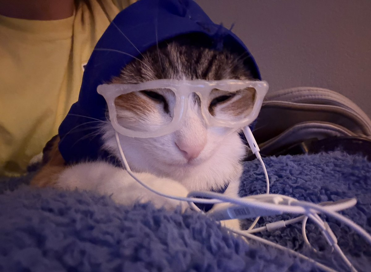 petey tweet media