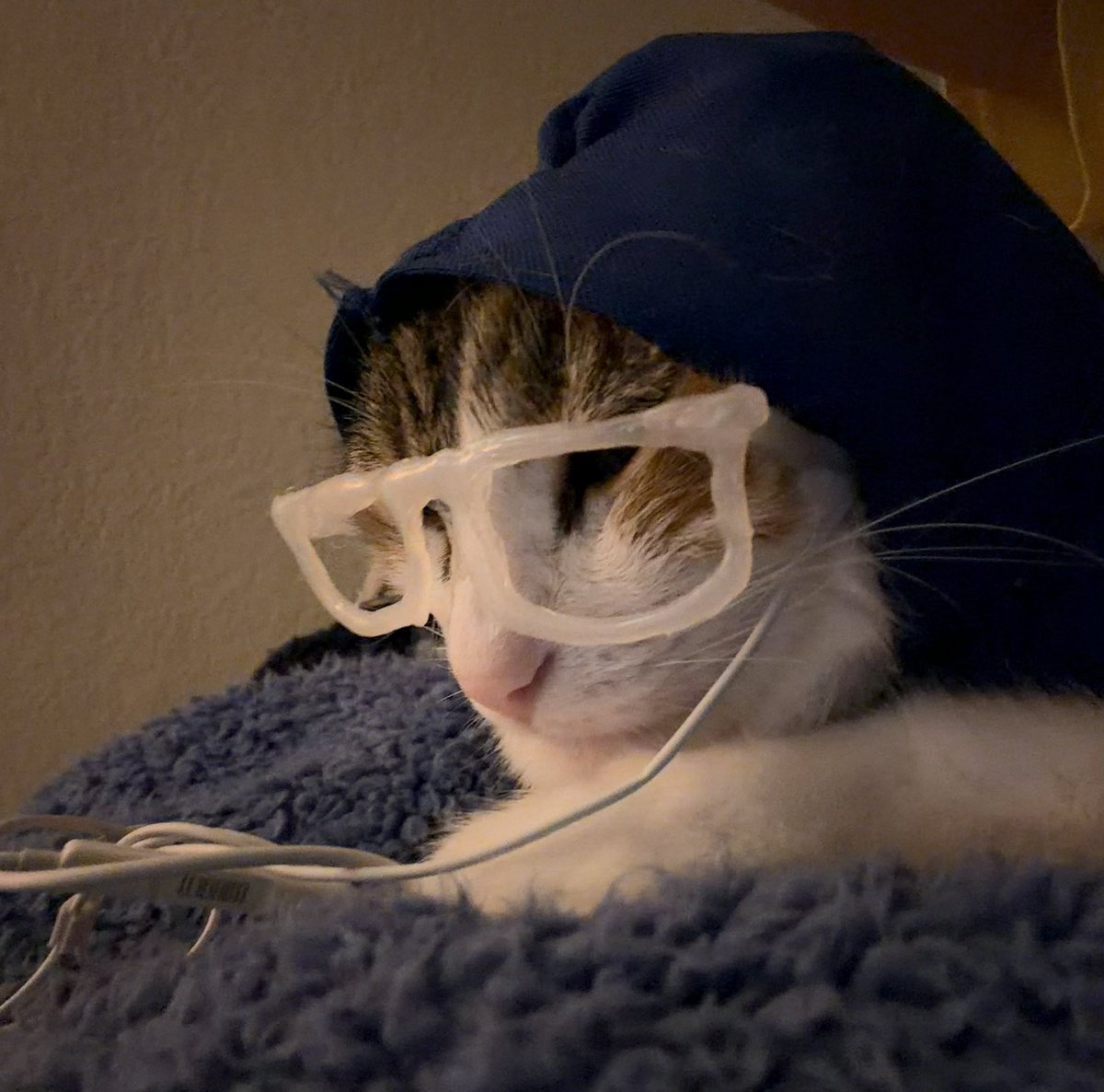petey tweet media