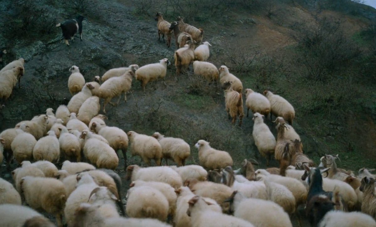 josezenin_ tweet picture